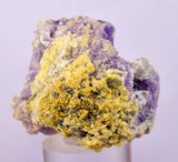 5.2cms COQUIMBITE ALUNOGEN CRYSTAL ROMERITE COPIATITE MINERAL SPECIMEN UB235
