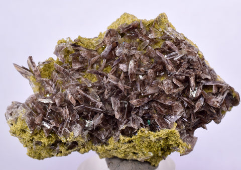 5.7cms PREMIUM AXINITE QUARTZ CRYSTALS PERU AESTHETIC COLLECTOR AB190