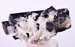 5.5cms HUBNERITE FLOATER QUARTZ CRYSTALS DOUBLY TERMINATED PERU MINERAL MB144