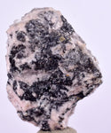 2.9cms PROUSTITE RUBY SILVER RHODOCHROSITE PERU UCHUCCHACUA MINE MINERAL HB195