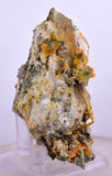 6.3cms GEM RARE WULFENITE MINI CRYSTALS ALAMO ARIZONA USA YB36