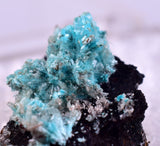 1.6cm AURICHALCITE CRYSTALS DURANGO MEXICO MINERAL SPECIMEN WB29