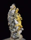 0.8cm UNIQUE NATIVE GOLD INCAS PYRITE PERU QUARTZ THUMBNAIL CRYSTAL LB176
