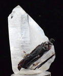 4.5cms HUBNERITE QUARTZ CRYSTALS MINERAL SPECIMEN COLLECTOR PERU MB41