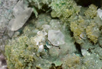 13cm STALACTITE SELENITE CALCITE DRUZY CHRYSOCOLLA MALACHITE LILY MINE PERU DB97