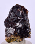 3.2cms  GEM GARNET STEPPED CRYSTALS PERU SHINY SHARP RARE MINERAL SPECIMEN GB13