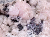 3.5cms PROUSTITE RED RUBY SILVER PERU UCHUCCHACUA MINE MINERAL SPECIMEN HB140