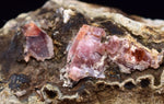 4.8cm RHODOCHROSITE CRYSTALS PERU OLD STOCK UCHUCCHACUA MINERAL SPECIMEN RB605
