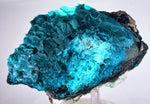 13.8cm GEM BLUE MALACHITE ps CHRYSOCOLLA BOTRYOIDAL TENTADORA MINE PERU UB222
