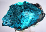 13.8cm GEM BLUE MALACHITE ps CHRYSOCOLLA BOTRYOIDAL TENTADORA MINE PERU UB222