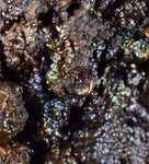 12cms GOETHITE BOTRYOIDAL IRIDESCENT CRYSTALS PERU IRON NEW FIND MINERAL ZB01