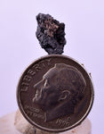 1.1cms NATIVE SILVER WIRE PERU UCHUCCHACUA MINE MINERAL SPECIMEN HB263
