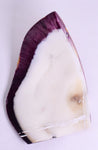 PIECES OF SPINY OYSTER POLISHED PERU JEWELRY PENDANT BB157