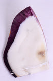 PIECES OF SPINY OYSTER POLISHED PERU JEWELRY PENDANT BB157