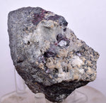 6.7cms PROUSTITE RED RUBY SILVER MINERAL PERU UCHUCCHACUA MINE SPECIMEN HB218