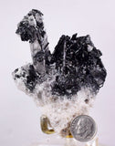 8.8cm GEM TOURMALINE SCHORL TWIN QUARTZ SHINY CRYSTALS PERU MINERAL SPECIMEN WB4