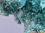 20cm GEM CHRYSOCOLLA IN SELENITE LILY MINE PERU MALACHITE STALACTITES CB359