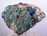 12cms GEM BROCHANTITE LINARITE MICRO CRYSTALS INCA DE ORO CHILE MINIATURE Z20