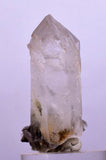 4.2cms GEM QUARTZ SCEPTER NATURAL CHLORITE INCLUDED PHANTOM CRYSTAL PERU  QB28