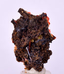 2.2cms GEM RED CROCOITE CRYSTALS CLUSTER MATRIX ADELAIDE MINE AUSTRALIA ZB39