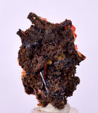 2.2cms GEM RED CROCOITE CRYSTALS CLUSTER MATRIX ADELAIDE MINE AUSTRALIA ZB39