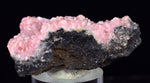 4.3cms RHODOCHROSITE CRYSTAL  N'CHWANING II MINE SOUTH AFRICA  RB652