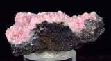 4.3cms RHODOCHROSITE CRYSTAL  N'CHWANING II MINE SOUTH AFRICA  RB652