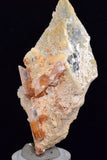 6.8cms LIMONITE IN SELENITE CRYSTAL COLLECTOR PERU MINERAL SPECIMEN TB108
