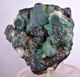 7.9cms DRUZY CHRYSOCOLLA QUARTZ MALACHITE BOTRYOIDAL PERU MINERAL SPECIMEN DB84