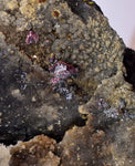5.5cms PROUSTITE RUBY SILVER  QUARTZ PERU UCHUCCHACUA MINE MINERAL HB211