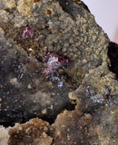 5.5cms PROUSTITE RUBY SILVER  QUARTZ PERU UCHUCCHACUA MINE MINERAL HB211