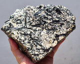 2.5KG MAGNESIOHASTINGSITE CRYSTALS HORNBLENDE PERU BLACK EDENITE HUDSONITE IB40