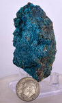 6cms QUARTZ CHRYSOCOLLA BOTRYOIDAL TENTADORA MINE PERU MINERAL SPECIMEN CB116