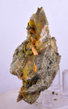 6.3cms GEM RARE WULFENITE MINI CRYSTALS ALAMO ARIZONA USA YB36