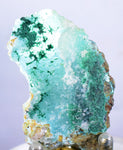 6cms ATACAMITE DRUZY CHRYSOCOLLA  STALACTITE LILY MINE PERU MINERAL AB43