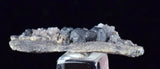 3.9cms ACANTHITE QUARTZ CRYSTALS MINERAL SPECIMEN PERU COLLECTOR HB3