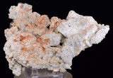 15cms LIMONITE IN SELENITE CRYSTAL COLLECTOR PERU MINERAL SPECIMEN TB129