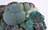 7.9cms DRUZY CHRYSOCOLLA QUARTZ MALACHITE BOTRYOIDAL PERU MINERAL SPECIMEN DB84