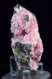 6.9cms RHODOCHROSITE ROSETTE PYRITE CRYSTALS PERU MINERAL SPECIMEN RB528