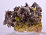 3.7cms PREMIUM AXINITE QUARTZ CRYSTALS PERU AESTHETIC COLLECTOR AB191