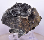 5.5cms PROUSTITE RUBY SILVER  QUARTZ PERU UCHUCCHACUA MINE MINERAL HB211