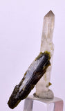 4.1cms PREMIUM EPIDOTE QUARTZ MINIATURE CRYSTALS PERU AESTHETIC COLLECTOR CB129