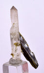 4.1cms PREMIUM EPIDOTE QUARTZ MINIATURE CRYSTALS PERU AESTHETIC COLLECTOR CB129