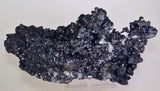 26cms MUSEUM SPHALERITE CHALCOPYRITE PYRITE  QUARTZ CRYSTALS PERU MB119