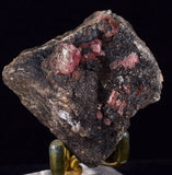 4.6cms GEM RHODOCHROSITE CRYSTALS PERU UCHUCCHACUA MINE MINERAL SPECIMEN RB350