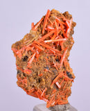 3.1cms GEM RED CROCOITE CRYSTALS CLUSTER MATRIX ADELAIDE MINE AUSTRALIA ZB36