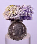 3cms COQUIMBITE ALUNOGEN CRYSTAL ROMERITE COPIATITE MINERAL SPECIMEN UB259