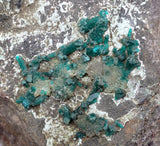 14.5cms DIOPTASE CRYSTALS PERU QUARTZ CHRYSOCOLLA MINERAL SPECIMEN KB41