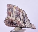 2.9cm GEM AXINITE CRYSTAL  PERU SUPER SHINY MINERAL SPECIMEN AB100