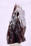 3.6cm GEM AXINITE TWIN CRYSTAL  PERU SUPER SHINY MINERAL SPECIMEN AB35
